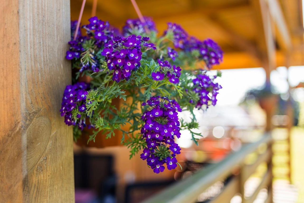Chalet U Marleny Ustka